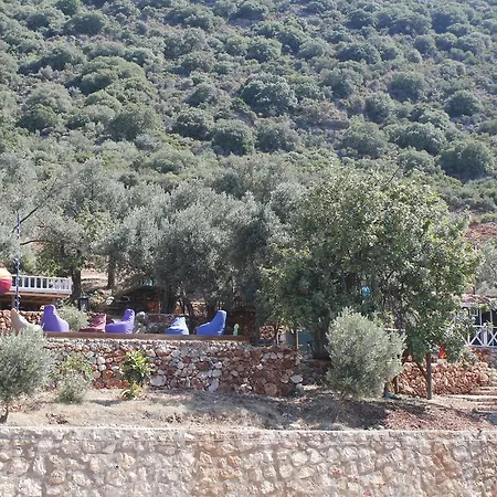 Can Tent Camping * Kas